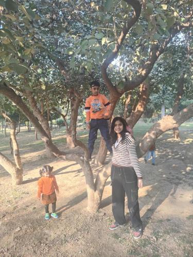 Picnic 2024